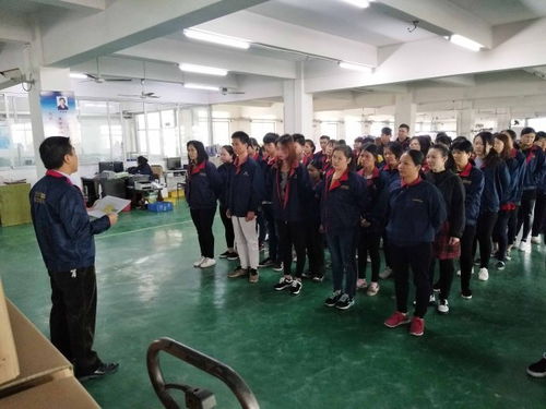 平頂山駐廠咨詢案例 BG電器通過攻關(guān)提升生產(chǎn)效率效果顯著